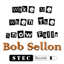 Wake Me When The Snow Falls