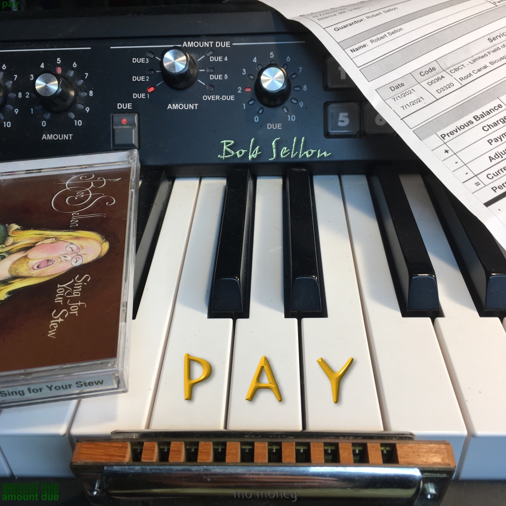 The cover image for Bob Sellon`s song: Pay