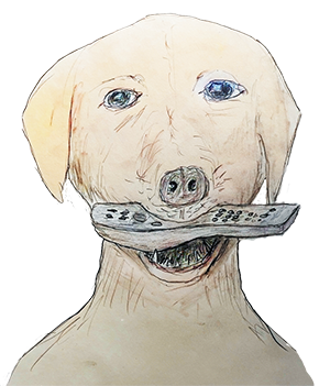 The cover image for Bob Sellon`s song: Molson The Dog