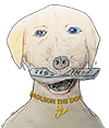 Molson The Dog