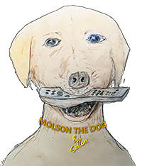 The cover image for Bob Sellon`s song: Molson The Dog